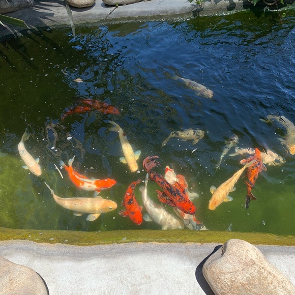 Welcome ❤️ Bookmark My Closet - Picture 9 of 16